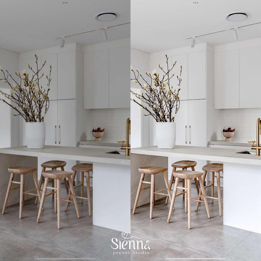 Modern Minimalist - Sienna Presets