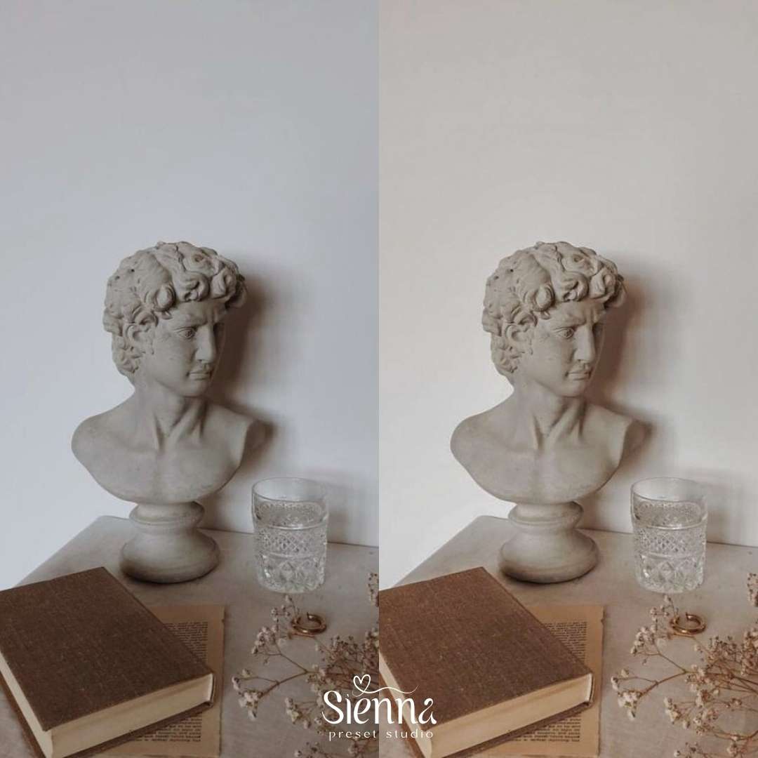 Terra - Sienna Presets