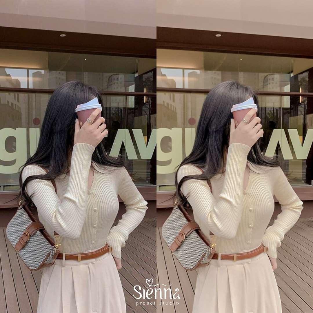 Beige - Sienna Presets