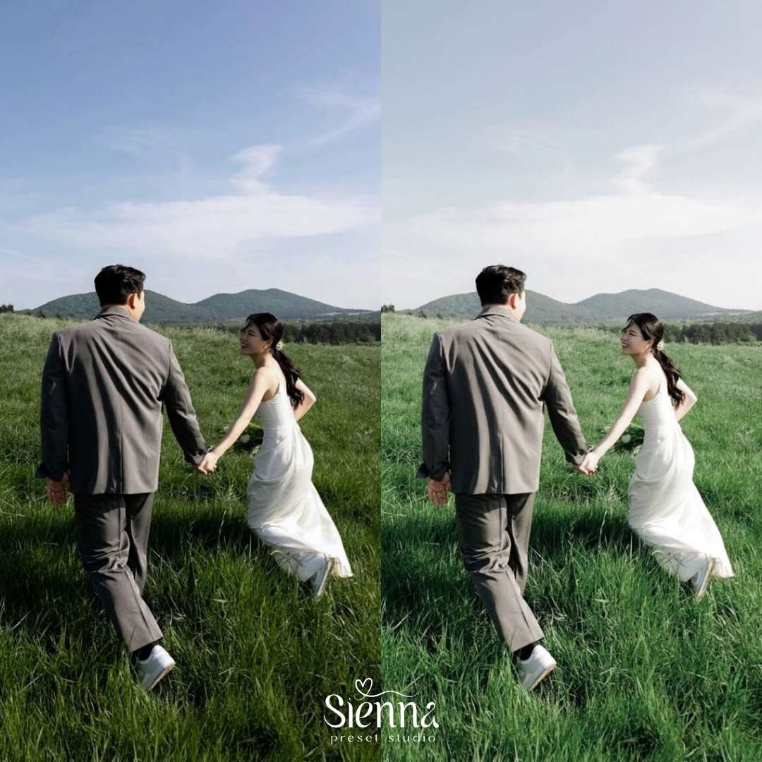 Céleste - Sienna Presets