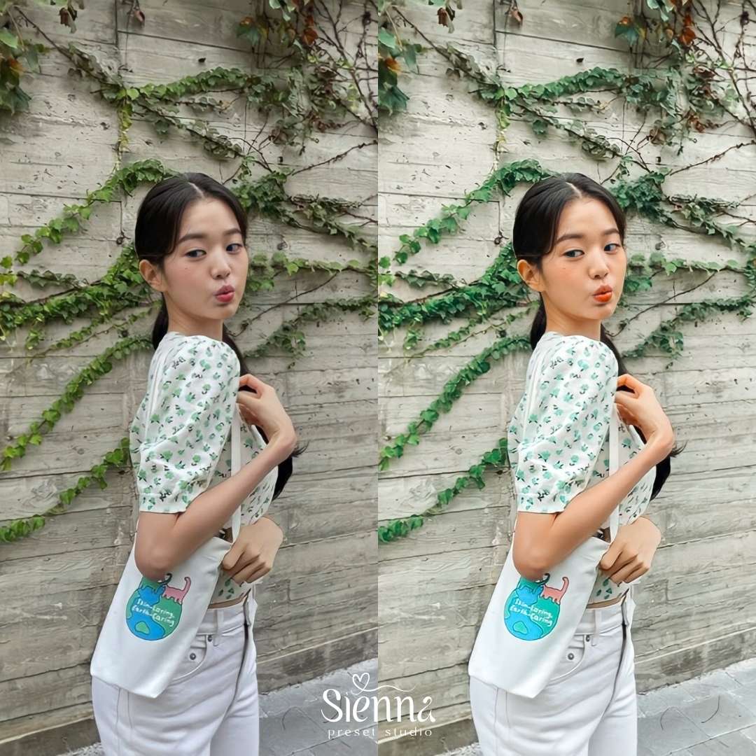 Fémme - Sienna Presets