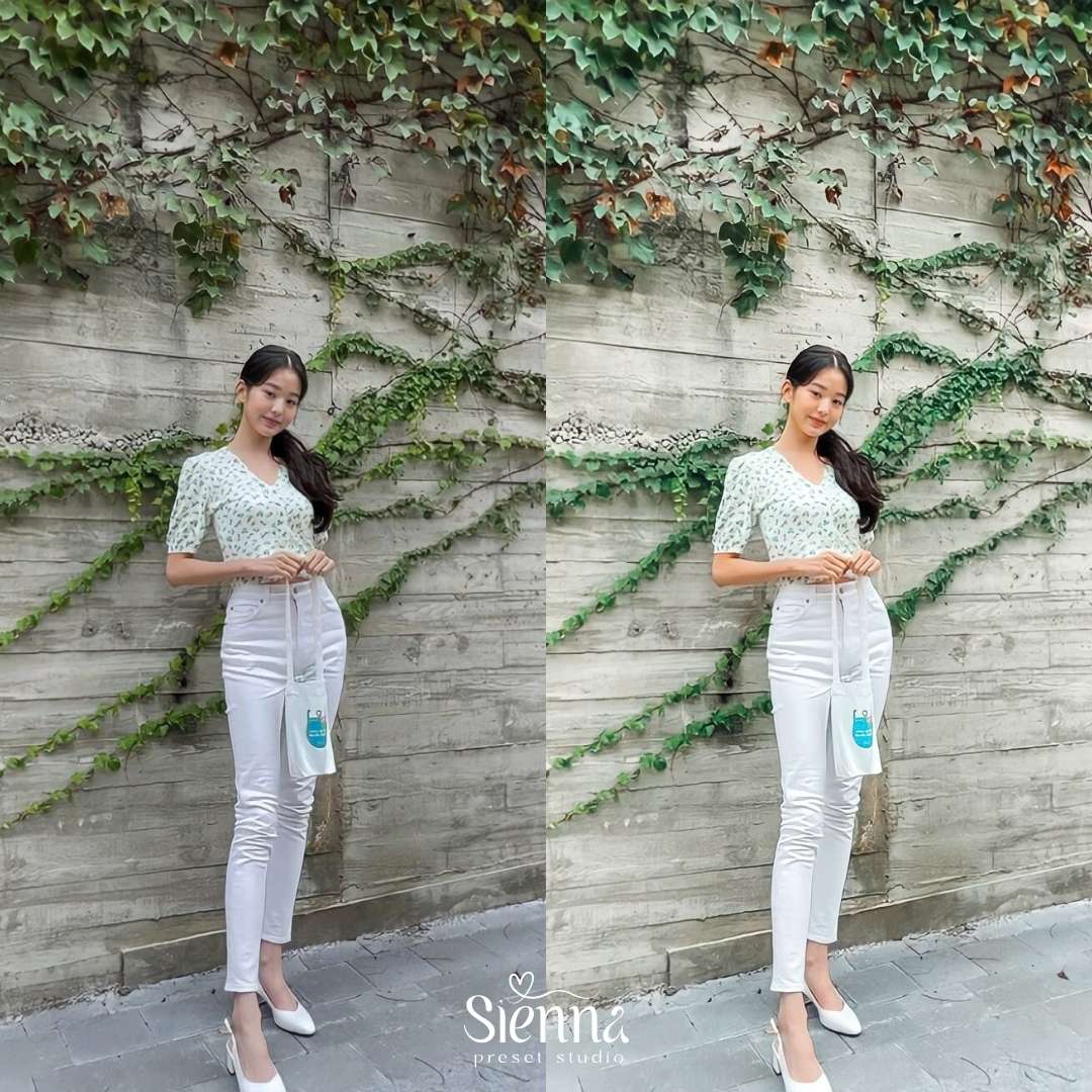 Fémme - Sienna Presets
