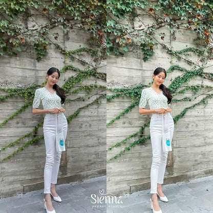 Fémme - Sienna Presets