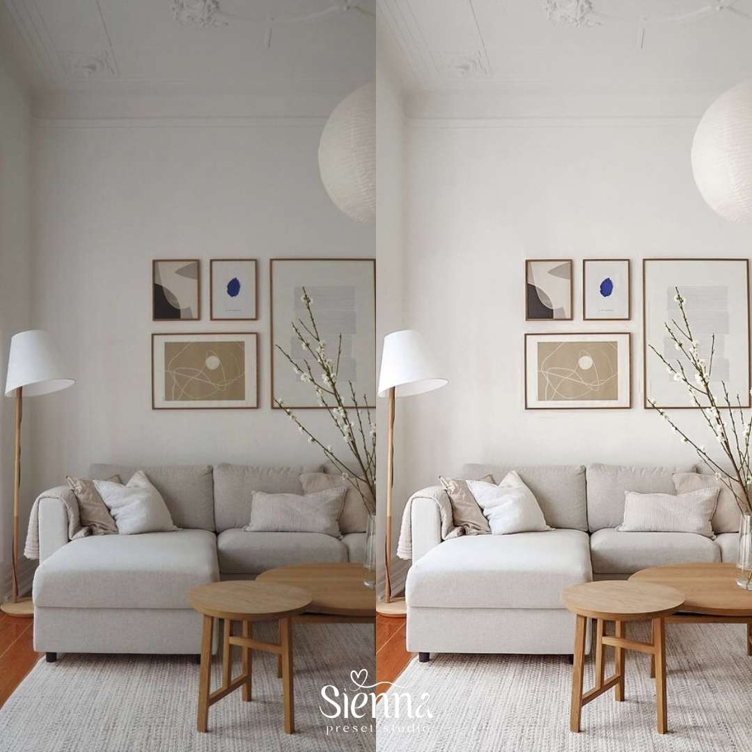 Modern Minimalist - Sienna Presets