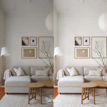 Modern Minimalist - Sienna Presets