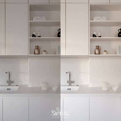 Modern Minimalist - Sienna Presets