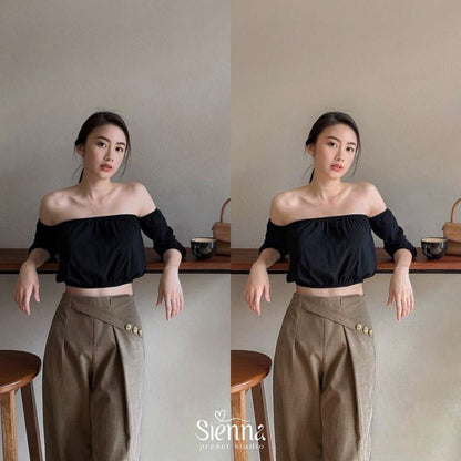 Terra - Sienna Presets